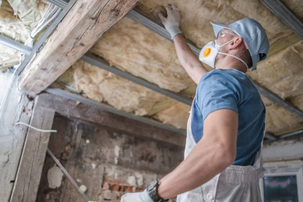 Best Eco-Friendly Insulation in Mound Bayou, MS