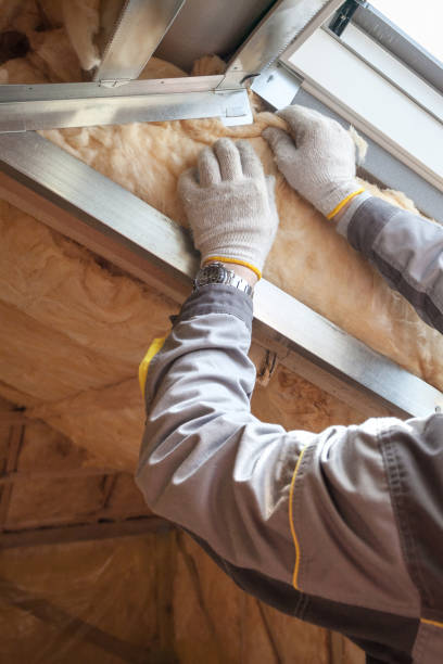 Best Geographic-Specific Insulation Services in Mound Bayou, MS