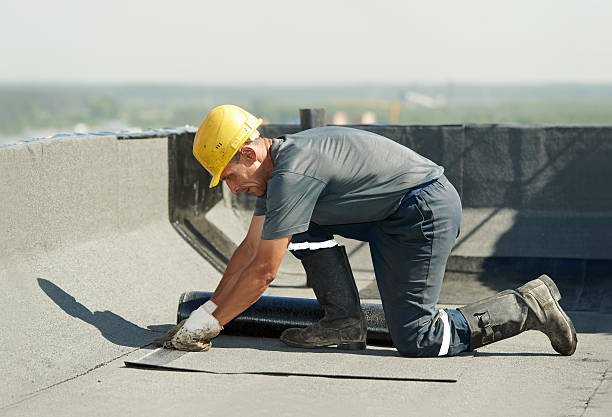 Professional Insulation Contractor in Mound Bayou, MS