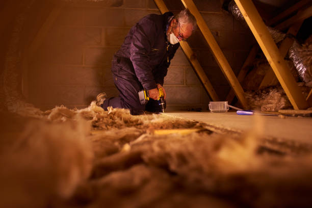 Types of Insulation We Offer in Mound Bayou, MS